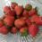 イチゴ